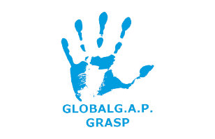 Brand Logo2