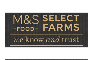 Brand Logo2